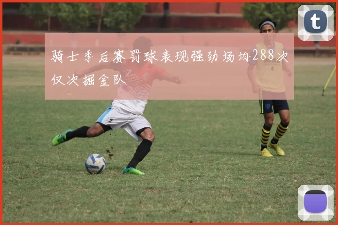 骑士季后赛罚球表现强劲场均288次仅次掘金队